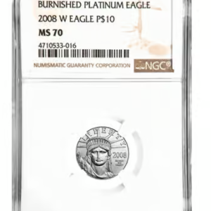 2008-W 1/10 oz Burnished Platinum Eagle $10 NGC MS70